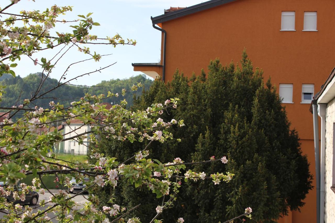 Apartments Kapisoda Цетине Экстерьер фото
